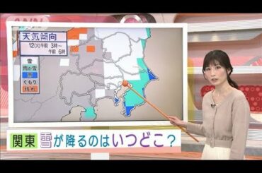 関東の雪　降り出し早まり11日夜遅くから12日朝まで(2021年1月10日)