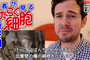 【日本語字幕】医者が見る はたらく細胞 13話 血小板タン(´；ω；｀)ﾌﾞﾜｯ 外国人の反応