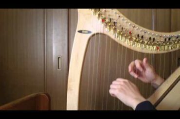 主よ、人の望みの喜びよ　サウルハープ.MOV