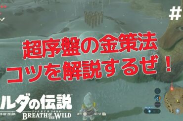 【ゼルダの伝説 ブレス オブ ザ ワイルド】超序盤で出来る金策！これで忍び防具も余裕だぜ♪