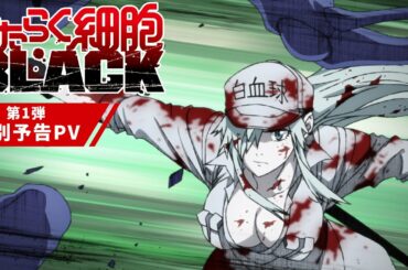 「はたらく細胞BLACK」第1弾 特別予告PV│2021年1月9日放送開始！