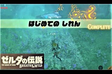 【はじめての しれん : タッチオのイベント コログしれん】 攻略 ゼルダの伝説 ブレスオブザワイルド  "The Lost Pilgrimage" Zelda BREATH OF THE WILD