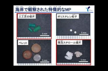 横浜市内におけるマイクロプラスチック
