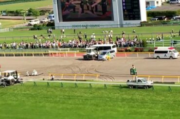 第84回日本ダービーファンファーレ