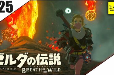 #25【三人称】ドンピシャとゼルダの伝説 ブレス オブ ザ ワイルド【Switch版】