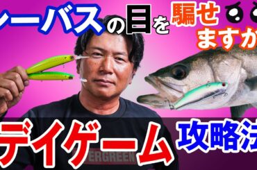 【デイゲーム攻略法】シーバスを日中に釣る方法教えます！オヌマンのシーバス塾