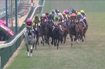 2019 有馬記念