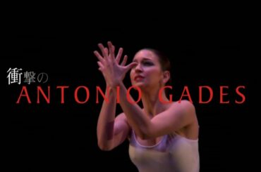 Bunkamuraオーチャードホール「アントニオ・ガデス舞踊団」 スポット動画≪血の婚礼/フラメンコ組曲≫