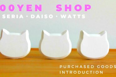 【100均購入品】セリア・ダイソー・ワッツ購入品紹介★珪藻土★掃除用品etc.