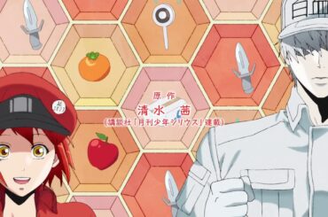 はたらく細胞　opening