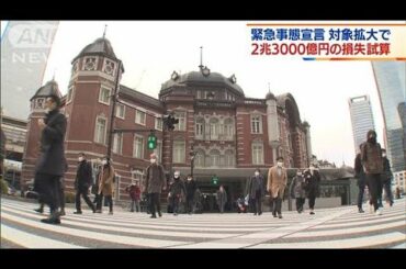 経済損失2.3兆円と試算　緊急事態宣言の対象拡大で(2021年1月14日)