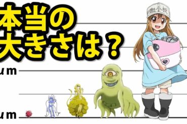 はたらく細胞 敵キャラを、実際の大きさで比較してみた！ Hataraku Saibou