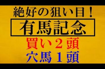 有馬記念2020【絶好の狙い目】買いの２頭　 穴馬候補１頭！