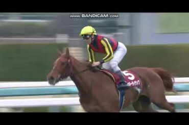 重賞3勝馬　ラッキーライラックの新馬戦からオークスまでのレース集