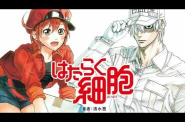 働く細胞OPフルPVにしてみた❣️