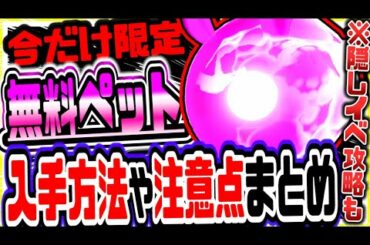 原神 今だけ限定逃すな!!無料でペットを入手する方法と注意点まとめ 原神攻略実況