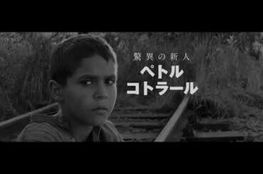 映画『異端の鳥』／「戦争の非情さを感じる」本編映像解禁！10月9(金)TOHOシネマズ シャンテほか公開
