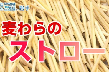 麦わらがストローに大変身！プラスチックごみを減らそう 日本財団 海と日本PROJECT in 岩手 2020 #25
