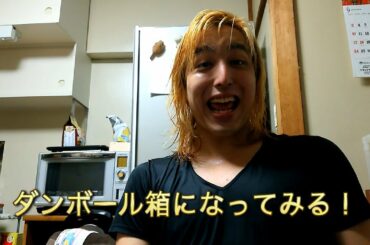 前代未聞の人体実験！？人間をダンボール箱に改造してみた