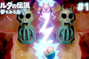 リンク、悪魔から強烈な電撃を受ける #13【ゼルダの伝説 夢をみる島】