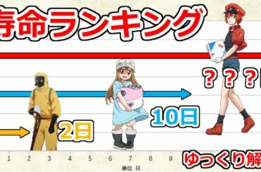 はたらく細胞　各キャラの寿命ランキング！最も長生きなのは…？ 【ゆっくり解説】