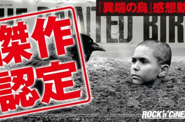 異端の鳥感想／PAINTED BIRD／ペインティッドバード／ハーヴェイカイテル ／バリーペッパー／ホロコースト／ヴァーツラフマルホウル／イェジーコシンスキ【ロックンシネマ】