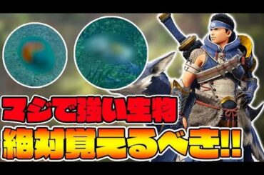 最強レベルの猟具生物を知ってるか？【モンハンライズ】