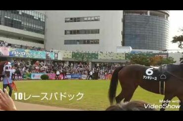 エリザベス女王杯2019ラッキーライラック