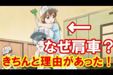 はたらく細胞9話で白血球に血小板が肩車されたのには理由があった?! はたらく細胞9話で白血球に血小板が肩車されたのには理由があった?!