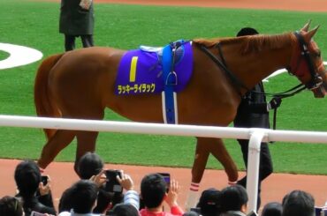 ラッキーライラック、桜花賞のパドック。現地映像、阪神競馬場