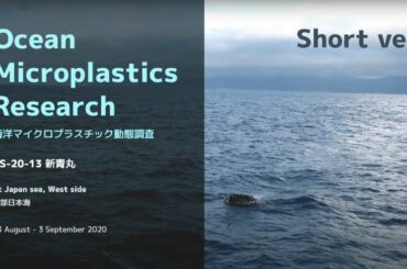 Ocean Microplastics Research 海洋マイクロプラスチック動態調査 / U-Tokyo AORI 東京大学 大気海洋研究所  - Short version