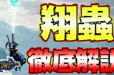 【モンハンライズ】絶対必須テク！翔蟲マスターへの近道はこれだ！基本編【MHRise:モンスターハンターライズ】