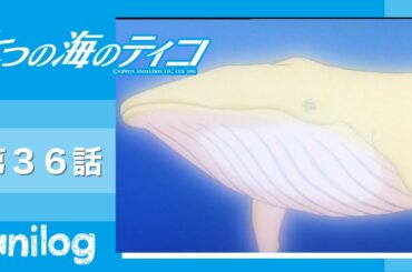 七つの海のティコ 第36話「ヒカリクジラが危ない　悪魔の襲撃！」【公式アニメch アニメログ】