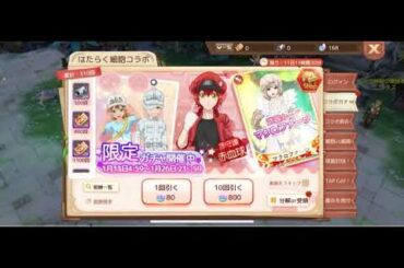 アッシュテイル  はたらく細胞コラボ　オススメ交換アイテム　とりあえず