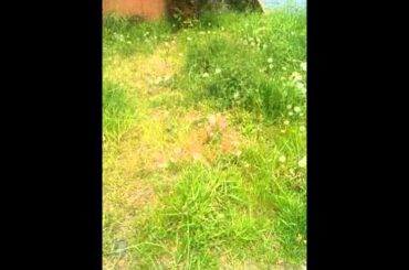 酒と涙と男と女/河島英五さん。お世話になってます。