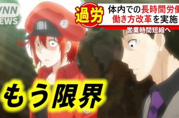 #1 【はたらく細胞】 働き過ぎが問題になっているとニュースで話題に！ Cells at Work Hataraku Saibou