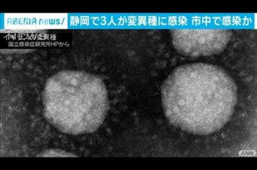 英の変異種に男女3人が感染　国内で市中感染か(2021年1月18日)