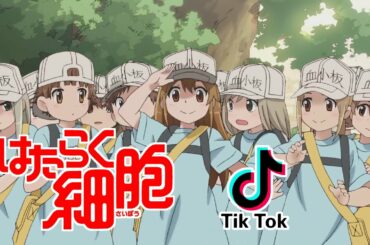 TikTokの原曲はこれ!「勝手な行動しないこと!」血小板ちゃん【はたらく細胞】歌 (Platelets Song Cells at Work!)