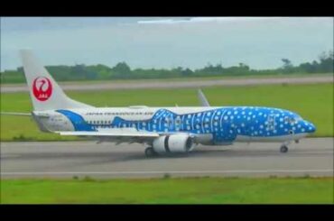 【滑走路、短っ！】サトウキビ畑から見た新石垣空港