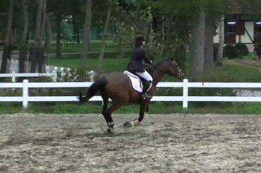 秋季馬術大会　標準小障害B　佐藤詩織&ペリエE