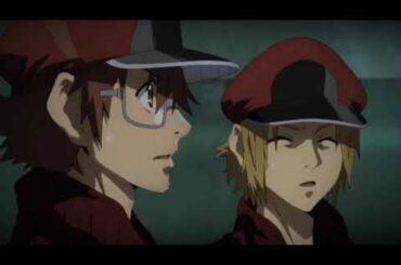 淋病vs白血球　はたらく細胞black