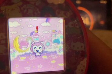 【五分】タイムアタックたまごっち【18日目】