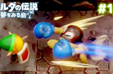 ガチでボクシングをしてくる中ボス #14【ゼルダの伝説 夢をみる島】