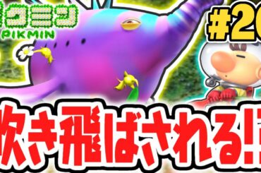 超巨大なフーセンドックリが復活!?大水源を攻略せよ!!はじまりの実況Part20【ピクミン】