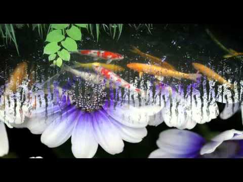 青の時代 千住明～Relaxing Music