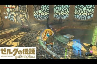 【Switch】ゼルダの伝説 ブレスオブザワイルド　神獣ヴァ・ナボリス 内部攻略
