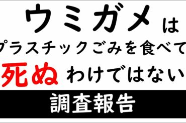ウミガメはプラスチックごみを食べて死ぬわけではない調査報告 ウミガメはプラスチックごみを食べて死ぬわけではない調査報告