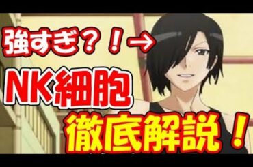 【はたらく細胞】NK細胞を徹底解説！　活性方法を理解して長生き？！【解説】
