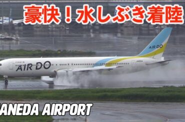 豪快水しぶき! 豪雨あとの滑走路に着陸! エア・ドゥ Boeing 767 羽田空港