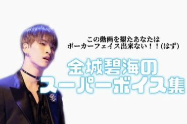 ただただ金城碧海の美声を集めた動画